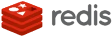 redis server