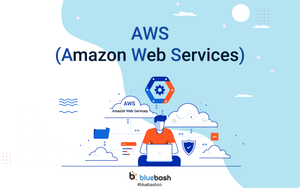 Best AWS Service Provider | Bluebash